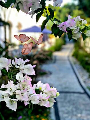 Yalı Apart Residence - Görsel 47