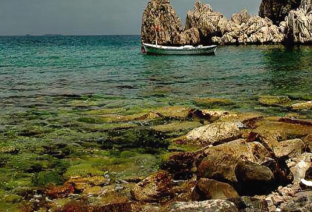 Olympos Köyevi Pansiyon - Görsel 5