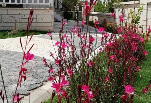 Ersin Konak Butik Otel - Görsel 37