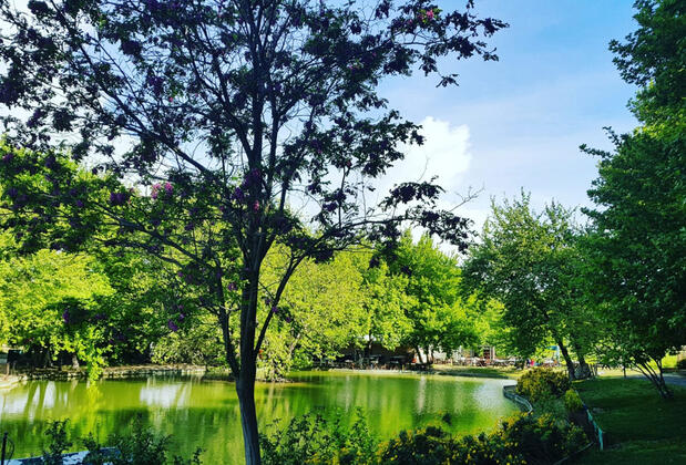 Naturla Göl Evi Urla - Görsel 11