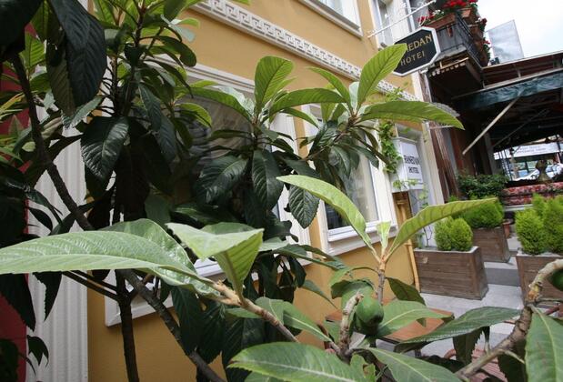 Hanedan Hotel İstanbul - Görsel 6