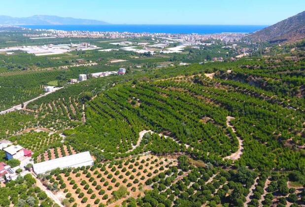 Heredot's House Otel - Görsel 4