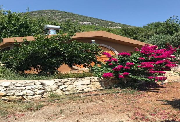 Heredot's House Otel - Görsel 17