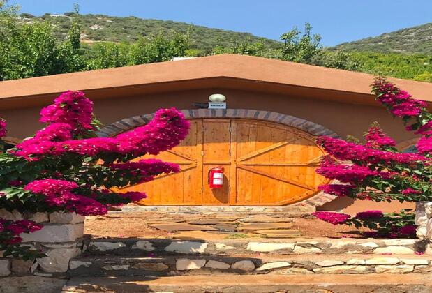 Heredot's House Otel - Görsel 11