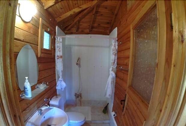 Olympos Woods - Görsel 13