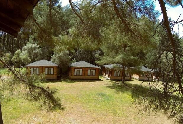 Olympos Woods - Görsel 9