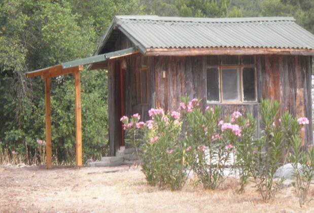 Olympos Woods - Görsel 4