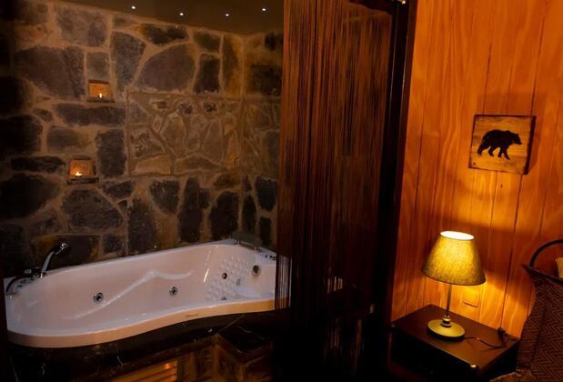 The Swanpark Hotel - Görsel 33