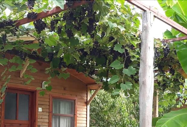 Yeşil Bahçe Bungalow  - Görsel 4