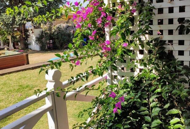 Lotus Restaurant & Home Şile - Görsel 37