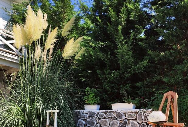 Lotus Restaurant & Home Şile - Görsel 43