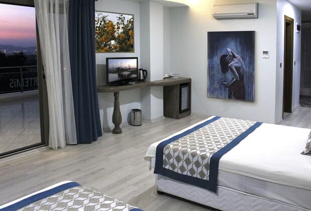 Artemis Hotel Erzin - Görsel 16