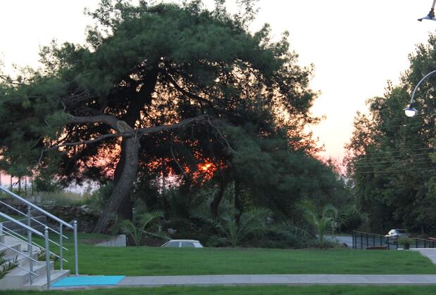 Artemis Hotel Erzin - Görsel 11