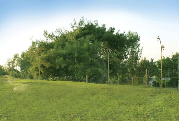 Artemis Hotel Erzin - Görsel 24