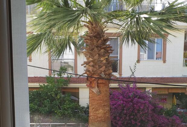 Villa Apart Otel Özdere - Görsel 6