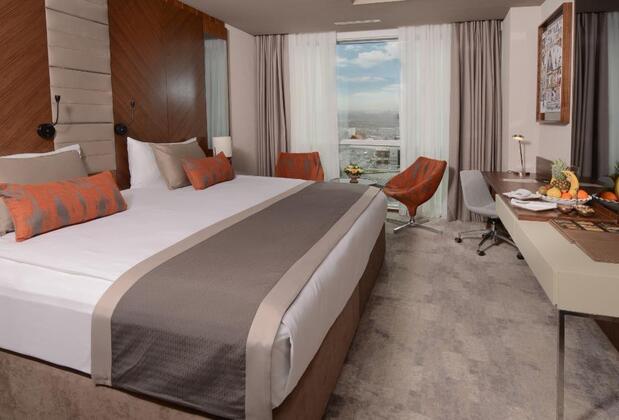 Ankara Alegria Business Hotel - Görsel 30