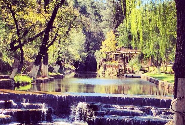 Dalya Life Retreat - Görsel 11