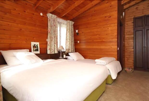 Robins Nest Otel Ağva - Görsel 6