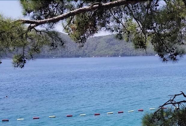 Yavansu Çiftliği Akbük - Görsel 13