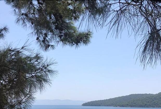 Yavansu Çiftliği Akbük - Görsel 14