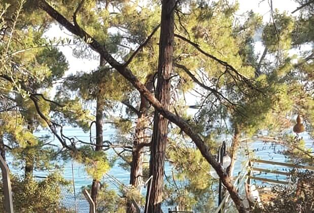 Yavansu Çiftliği Akbük - Görsel 19