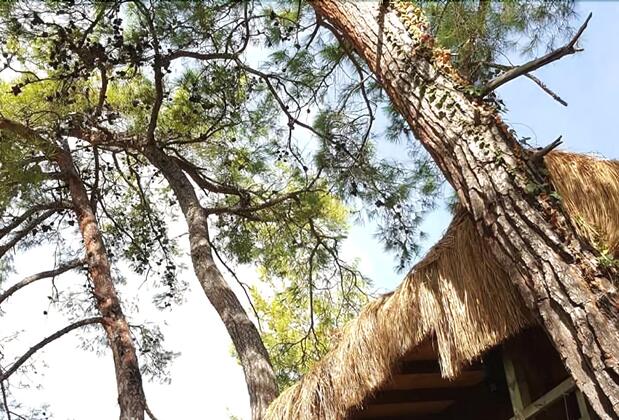 Yavansu Çiftliği Akbük - Görsel 23