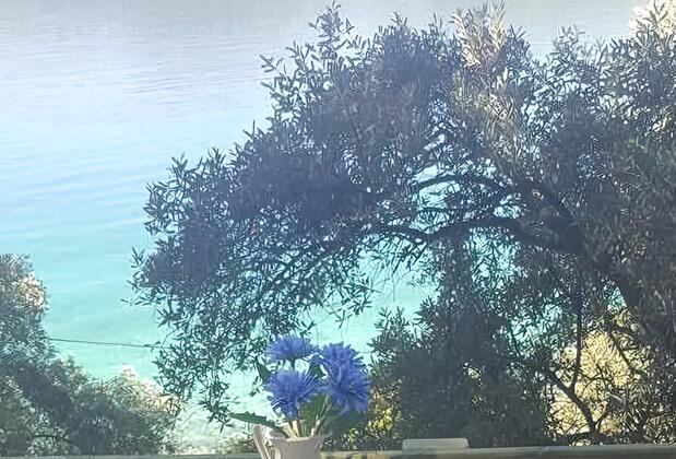 Yavansu Çiftliği Akbük - Görsel 31