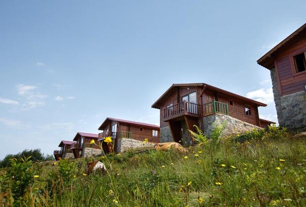 Flora Handüzü Resort Bungalow - Görsel 18