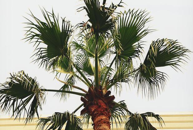 Banu Hotels Luxury - Görsel 18