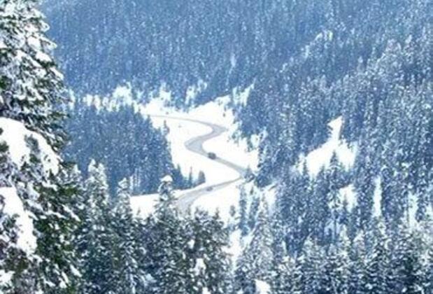 Ilgaz Hotel Mountain & Ski - Görsel 20