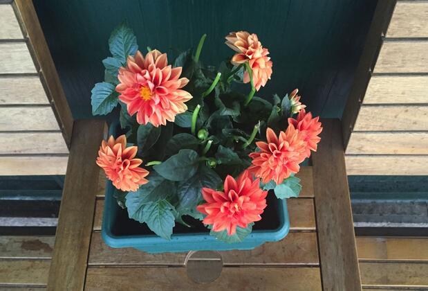 Rest Inn Airport Hotel - Görsel 26