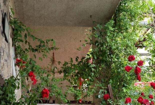 Anatolia Cave Hotel & Pansiyon - Görsel 3