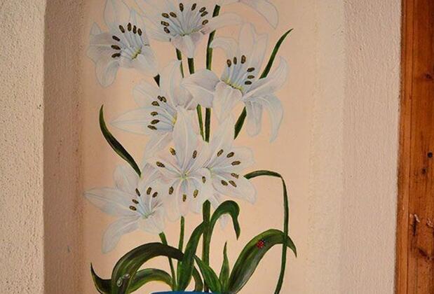 Tarihi Mehmet Emin Efendi Konağı - Görsel 13