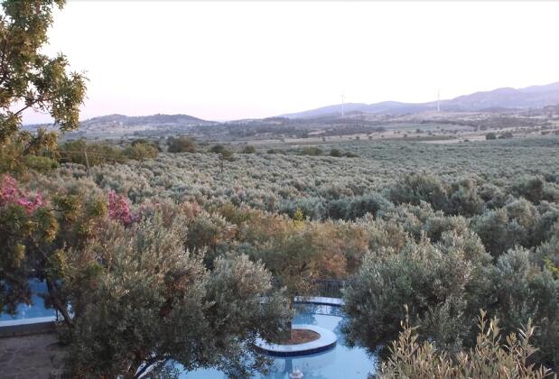 Cumhur Yeşilırmak Çiftliği Butik Otel - Görsel 16