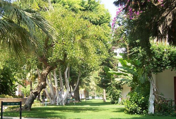 Club Boran Mare Beach Hotel Kemer - Görsel 13