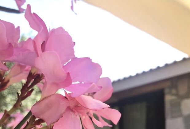 Cumhur Yeşilırmak Çiftliği Butik Otel - Görsel 6