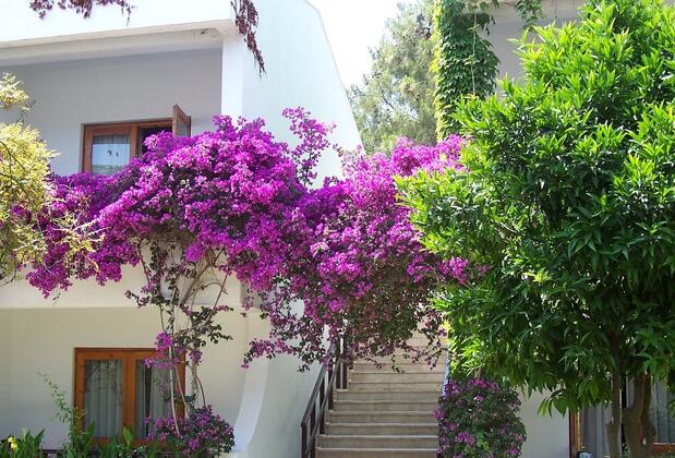 Club Boran Mare Beach Hotel Kemer - Görsel 4