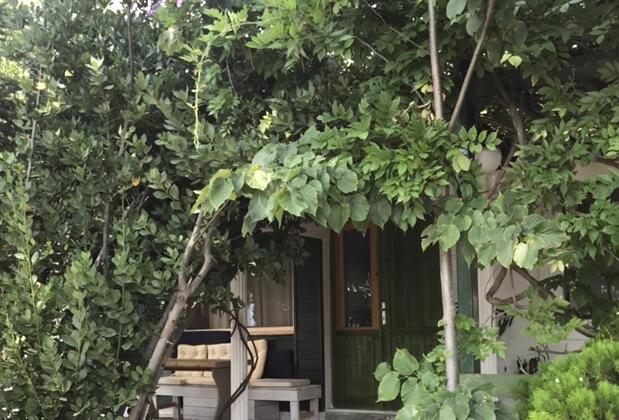 Cumhur Yeşilırmak Çiftliği Butik Otel - Görsel 11