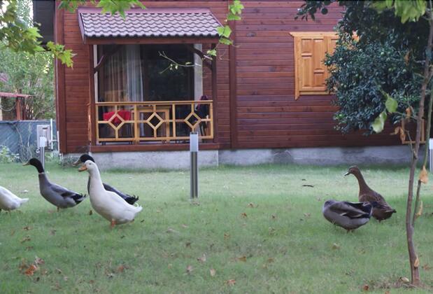 Maji Village Çıralı - Görsel 8