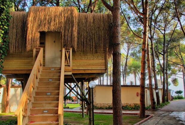 Shark Hotels Ömer Holiday Resort - Görsel 11