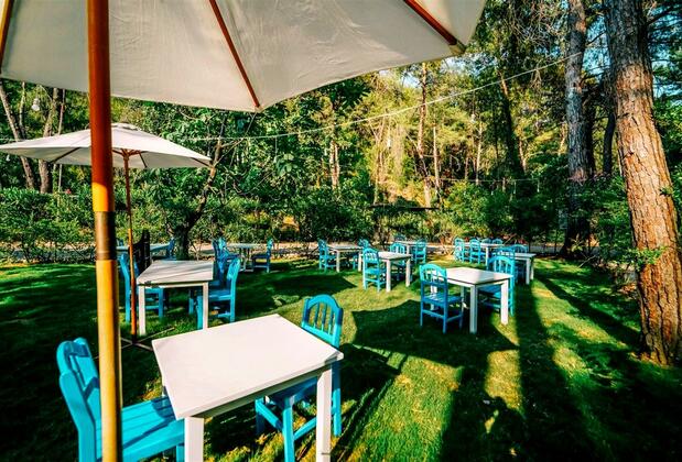 Hotel Forest Gate - Görsel 12