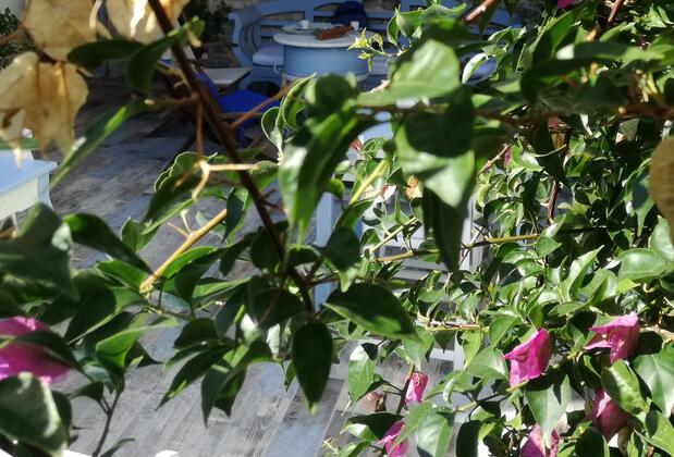 Ayla Hotel Cunda - Görsel 42