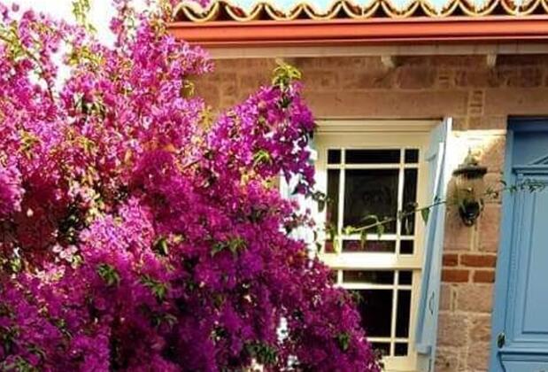 Ayla Hotel Cunda - Görsel 44