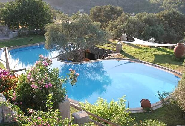 Antik Zeytin Bio Hotel - Görsel 3