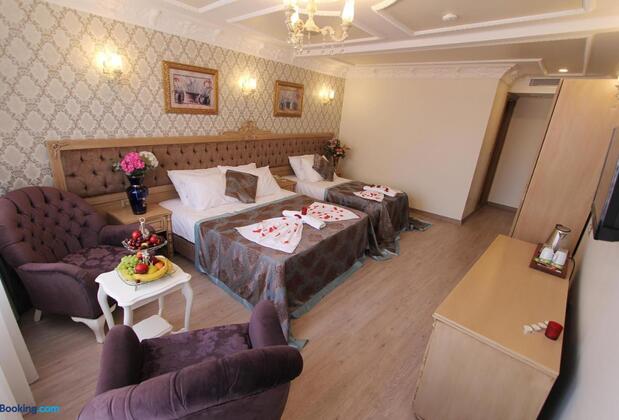 Apple Tree Hotel Sultanahmet - Görsel 8
