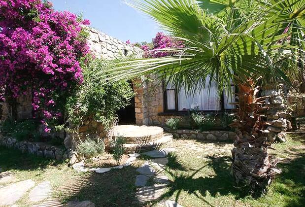Antik Zeytin Bio Hotel - Görsel 5