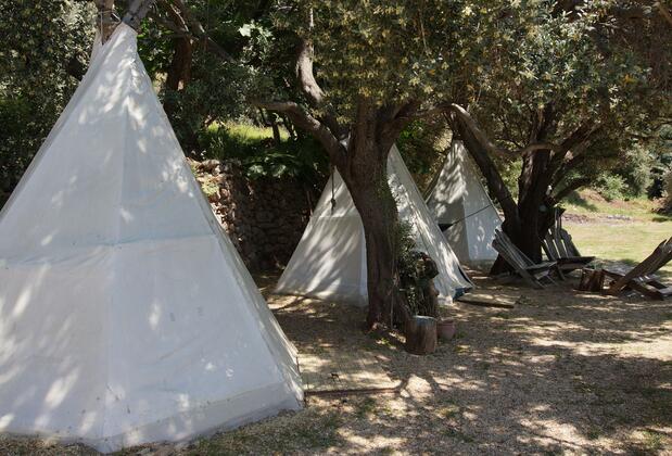 Kabak Shiva Camp - Görsel 16