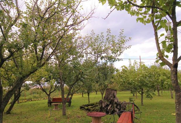 Rif Otel Sapanca (Adult +12) - Görsel 3