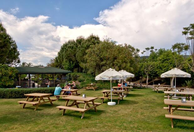 TT Holiday Village Turkey - Görsel 2