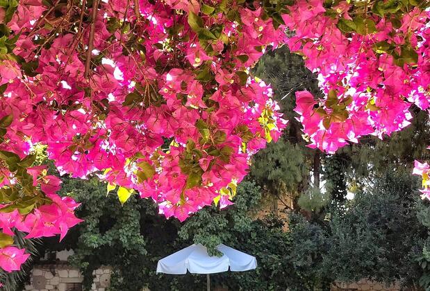 Taş Konak Butik Otel Alaçatı - Görsel 11